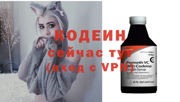 прущие грибы Абинск