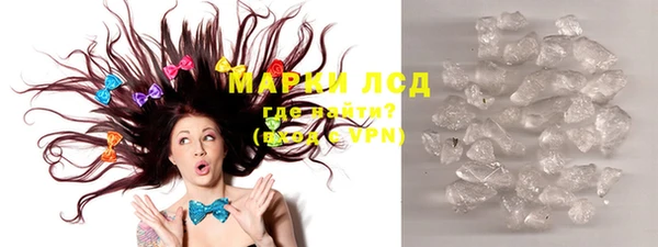 прущие грибы Абинск