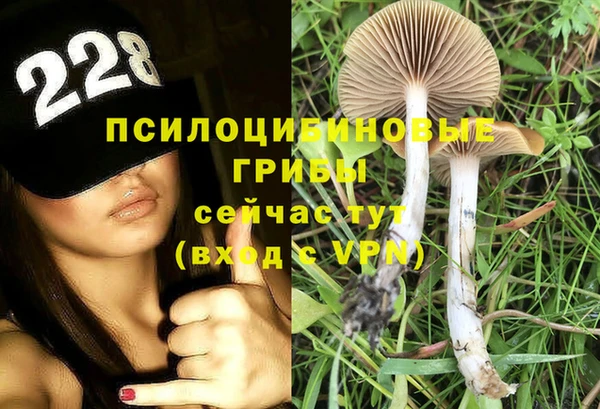 МДПВ Алексеевка