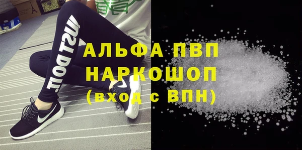 прущие грибы Абинск