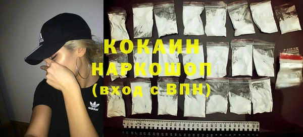 прущие грибы Абинск